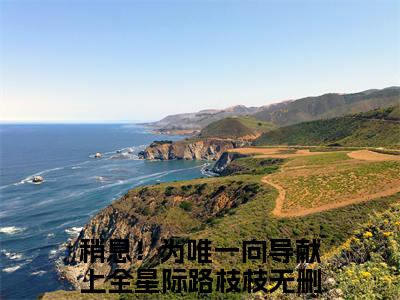 稍息！为唯一向导献上全星际路枝枝txt（稍息！为唯一向导献上全星际路枝枝：结局+番外）全文番外免费在线阅读_稍息！为唯一向导献上全星际路枝枝最新章节列表_笔趣阁（稍息！为唯一向导献上全星际路枝枝：结局+番外）