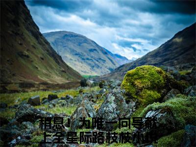 稍息！为唯一向导献上全星际路枝枝全文+后续（稍息！为唯一向导献上全星际路枝枝）全文免费阅读无弹窗大结局_（稍息！为唯一向导献上全星际路枝枝全文+后续）稍息！为唯一向导献上全星际路枝枝免费阅读无弹窗最新章节列表（稍息！为唯一向导献上全星际路枝枝全文+后续）