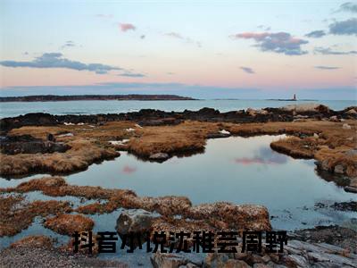 沈稚芸周野结局+番外（沈稚芸周野）最新章节列表_沈稚芸周野结局+番外（沈稚芸周野）全文+后续+结局在线阅读
