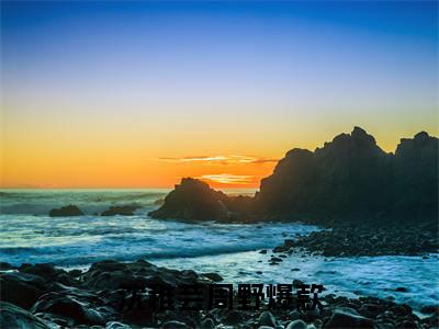 沈稚芸周野（沈稚芸周野）免费阅读无弹窗大结局-沈稚芸周野（沈稚芸周野）全文无错版阅读无弹窗