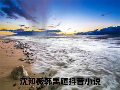沈知薇韩禹碹(沈知薇韩禹碹)全文免费阅读无弹窗大结局_(沈知薇韩禹碹)沈知薇韩禹碹全文免费完结版阅读(沈知薇韩禹碹)