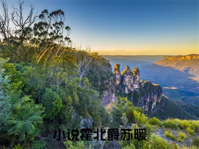 霍北爵苏暖（霍北爵苏暖）全文免费阅读无弹窗大结局_霍北爵苏暖最新章节列表_笔趣阁（霍北爵苏暖）