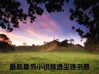 墨染青衫岁月长（林逸尘连书意）全文免费阅读_（林逸尘连书意）小说墨染青衫岁月长最新章节阅读