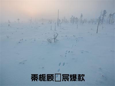 秦栀顾璟宸（秦栀顾璟宸）完整版小说阅读_秦栀顾璟宸全文免费阅读笔趣阁（秦栀顾璟宸）