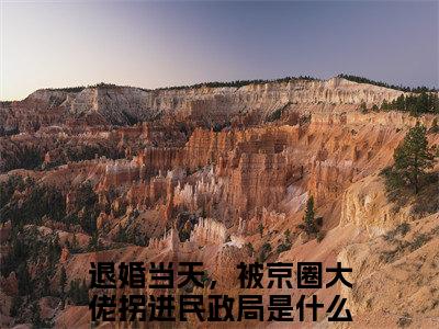 退婚当天，被京圈大佬拐进民政局：结局+番外（乔以棠谢承砚）小说免费更新在线阅读_退婚当天，被京圈大佬拐进民政局：结局+番外免费全文阅读笔趣阁（乔以棠谢承砚）