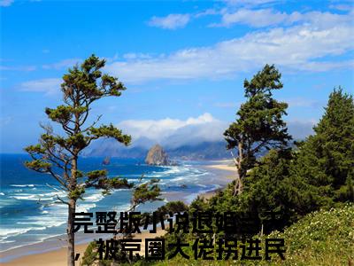 乔以棠谢承砚小说（退婚当天，被京圈大佬拐进民政局）前文+全本完整阅读预售作品抢先看