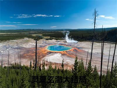 灵夏玄澈：结局+番外+完结（灵夏玄澈）全文免费阅读无弹窗大结局_灵夏玄澈：结局+番外+完结最新章节列表_笔趣阁（灵夏玄澈）