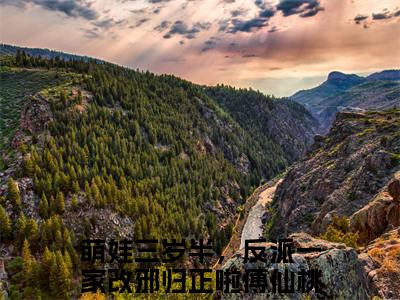 萌娃三岁半，反派一家改邪归正啦傅仙桃小说全文免费阅读-萌娃三岁半，反派一家改邪归正啦傅仙桃最新小说全文阅读