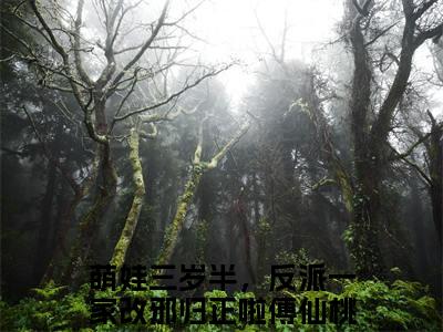 萌娃三岁半，反派一家改邪归正啦傅仙桃小说免费下载阅读_(萌娃三岁半，反派一家改邪归正啦傅仙桃)萌娃三岁半，反派一家改邪归正啦傅仙桃最新章节列表_笔趣阁（萌娃三岁半，反派一家改邪归正啦傅仙桃）