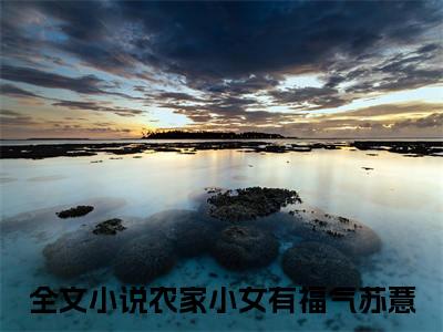 (番外)+(全文)农家小女有福气苏薏：全文+后续(农家小女有福气苏薏)小说最新列表_农家小女有福气苏薏：全文+后续(农家小女有福气苏薏)全文阅读无弹窗农家小女有福气苏薏：全文+后续