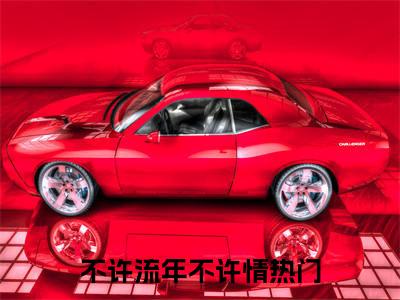 不许流年不许情（时聿川林芜）小说全文免费阅读无弹窗大结局_不许流年不许情最新章节列表笔趣阁