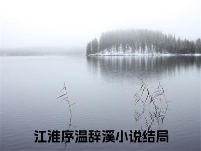 江淮序温辞溪：结局+番外（江淮序温辞溪）完结阅读无弹窗大结局_(江淮序温辞溪：结局+番外)最新章节列表_笔趣阁（江淮序温辞溪）