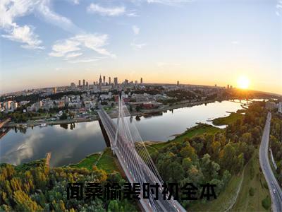 闻桑榆裴时初（闻桑榆裴时初：结局+番外）全文免费阅读无弹窗大结局_(闻桑榆裴时初)最新章节列表_笔趣阁（闻桑榆裴时初：结局+番外）