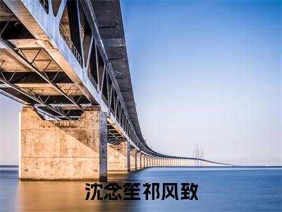 沈念笙祁风致：结局+番外(我决定成全他，放他自由)全文免费阅读无弹窗大结局_(沈念笙祁风致：结局+番外)最新章节列表_笔趣阁(我决定成全他，放他自由)