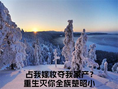 热文（占我嫁妆夺我家产？重生灭你全族楚昭）美文阅读_热门小说占我嫁妆夺我家产？重生灭你全族楚昭主人公是（占我嫁妆夺我家产？重生灭你全族楚昭）最新章节最新章节列表_笔趣阁