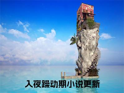 靳冰宸夜阑汐入夜躁动期续集起点章节+全书阅读（入夜躁动期）书荒必看