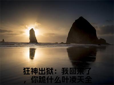 狂神出狱：我回来了，你跪什么叶凌天已完结+下载（狂神出狱：我回来了，你跪什么叶凌天：结局+番外+完结）全文小说免费阅读_狂神出狱：我回来了，你跪什么叶凌天全章节小说目录阅读（狂神出狱：我回来了，你跪什么叶凌天：结局+番外+完结）