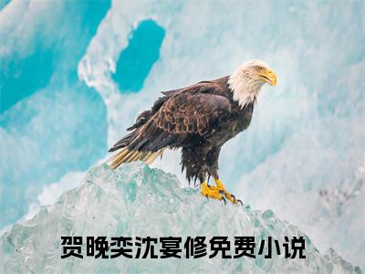 贺晚奕沈宴修（贺晚奕沈宴修）全文免费阅读无弹窗大结局_贺晚奕沈宴修完整版小说阅读（贺晚奕沈宴修）