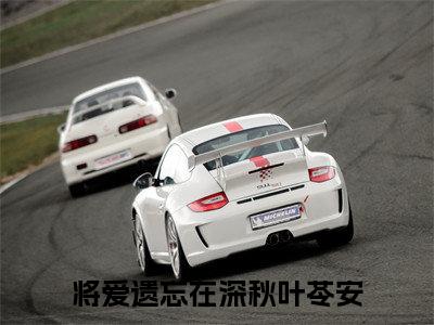 将爱遗忘在深秋叶苓安（将爱遗忘在深秋叶苓安全集无弹窗阅读）将爱遗忘在深秋叶苓安已完结小说全集完整版大结局笔趣阁（将爱遗忘在深秋叶苓安）最新章节列表_笔趣阁