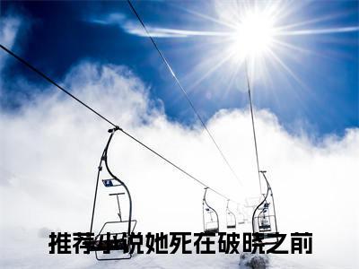 她死在破晓之前：全文+后续+结局（洛淼傅嘉安）最新章节列表_她死在破晓之前（洛淼傅嘉安）全文+后续+结局在线阅读