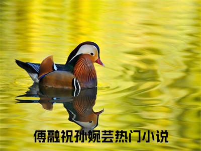 傅融祝孙婉芸小说(重生八零不要厂花奔西北)小说全集阅读连载中（傅融祝孙婉芸）_笔趣阁