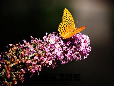 毒舌总裁是只狼（楚谨言温璐璐）抖音热推小说全集无删减_（楚谨言温璐璐免费阅读全文大结局）最新章节列表_笔趣阁