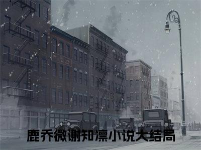鹿乔微谢知凛（谁同你恨海晴天/谁同你恨海晴天：全文+后续）全文阅读无弹窗结局_(鹿乔微谢知凛谁同你恨海晴天/谁同你恨海晴天：全文+后续阅读全文结局)结局章节列表_笔趣阁（鹿乔微谢知凛）