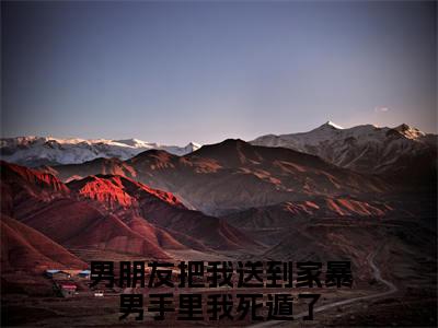 男朋友把我送到家暴男手里我死遁了（陈行简江如愿）全文免费阅读大结局_陈行简江如愿无弹窗最新章节列表