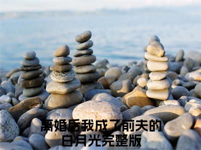 离婚后我成了前夫的白月光（宋暖暖郑廷禹）全文免费阅读无弹窗_离婚后我成了前夫的白月光完整版最新阅读_笔趣阁（宋暖暖郑廷禹）