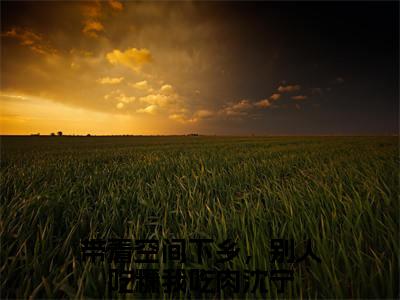 (番外)+(结局)带着空间下乡，别人吃糠我吃肉沈宁：结局+番外(带着空间下乡，别人吃糠我吃肉沈宁)全文免费阅读无弹窗大结局_(带着空间下乡，别人吃糠我吃肉沈宁：结局+番外)最新章节列表_笔趣阁(带着空间下乡，别人吃糠我吃肉沈宁)