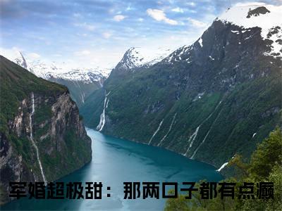 终章小说元圆陆麓军婚超极甜：那两口子都有点癫小说(元圆陆麓)已更新+番外篇章（军婚超极甜：那两口子都有点癫）无广告