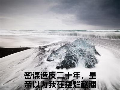 密谋造反二十年，皇帝以为我在摆烂赵渊（密谋造反二十年，皇帝以为我在摆烂赵渊全文免费）小说全文免费阅读无弹窗大结局_（密谋造反二十年，皇帝以为我在摆烂赵渊）最新章节列表（密谋造反二十年，皇帝以为我在摆烂赵渊后续）
