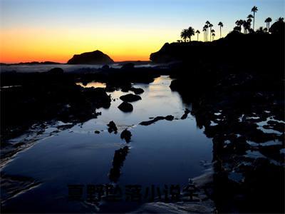 夏野坠落（苏时夏江野）全文免费阅读无弹窗大结局-苏时夏江野（夏野坠落）小说全文免费阅读最新章节列表