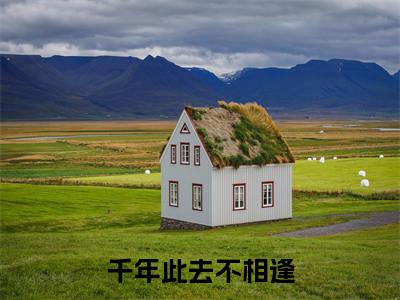 盛驰序姜枕意小说章节目录+序章（千年此去不相逢）全书畅享在线