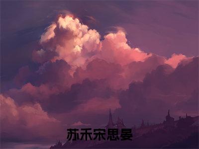 （苏禾宋思晏）苏禾宋思晏小说(苏禾宋思晏)无套路无弹窗全部章节列表