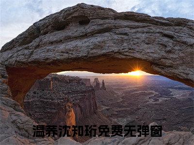 (温荞沈知珩：无广告+大结局）温荞沈知珩小说（温荞沈知珩：无广告+大结局)已完结无弹窗_