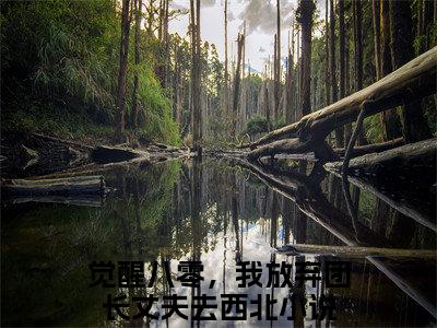 觉醒八零，我放弃团长丈夫去西北结局+番外（觉醒八零，我放弃团长丈夫去西北结局+番外）全文免费阅读无弹窗大结局_觉醒八零，我放弃团长丈夫去西北结局+番外（霍澜之苏晓兰）最新章节列表_笔趣阁（霍澜之苏晓兰）