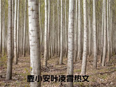 鹿小安叶凌霄（鹿小安叶凌霄：结局+番外）全文阅读无弹窗结局_(鹿小安叶凌霄：结局+番外阅读全文结局)结局章节列表_笔趣阁（鹿小安叶凌霄）
