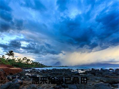 陆曜钧陈嘉怡小说全文免费阅读（原来沧海已桑田）全文免费阅读无弹窗大结局_陆曜钧陈嘉怡最新章节列表