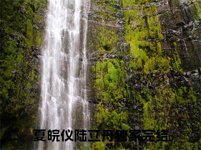 今日热读（夏皖仪陆立舟）夏皖仪陆立舟：结局+番外全集完整版已完结大结局_夏皖仪陆立舟最新热点全文在线阅读（夏皖仪陆立舟：结局+番外）