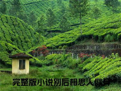 别后相思人似月（宋暮颜沈清川）全文免费阅读无弹窗大结局_（别后相思人似月）宋暮颜沈清川全文免费完结版阅读