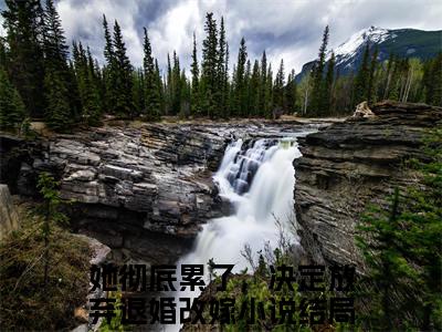 她彻底累了，决定放弃退婚改嫁（苏南枳宋矜煜）全文免费阅读无弹窗大结局_她彻底累了，决定放弃退婚改嫁热门小说最新章节阅读