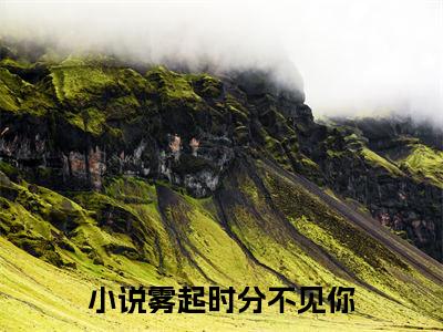 纪疏雨陆屿山小说（雾起时分不见你）全文免费阅读_（雾起时分不见你）纪疏雨陆屿山最新章节列表笔趣阁
