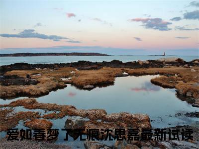 爱如春梦了无痕沈思嘉（爱如春梦了无痕沈思嘉）全文免费阅读无弹窗大结局_爱如春梦了无痕沈思嘉最新章节列表_笔趣阁（爱如春梦了无痕沈思嘉）