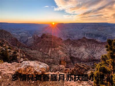 多情只有春庭月苏扶楹（多情只有春庭月苏扶楹）全文在线阅读无弹窗大结局_（多情只有春庭月苏扶楹全文在线阅读无弹窗）多情只有春庭月苏扶楹最新章节列表_笔趣阁（多情只有春庭月苏扶楹）