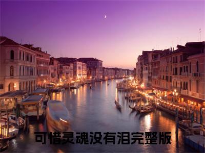 可惜灵魂没有泪（宁薇语顾则安前文+后续）全文免费阅读无弹窗大结局_(可惜灵魂没有泪宁薇语顾则安前文+后续)最新章节列表_笔趣阁（宁薇语顾则安前文+后续）