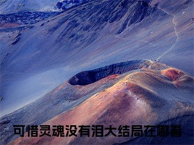 宁薇语顾则安（可惜灵魂没有泪）全文免费阅读_宁薇语顾则安（可惜灵魂没有泪）免费在线阅读_笔趣阁