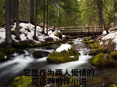 它是作为两人爱情的见证啊：全文+后续（陆君润韩童汐）最新章节列表_它是作为两人爱情的见证啊：全文+后续（陆君润韩童汐）全文+后续+结局在线阅读
