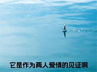 陆君润韩童汐续集(它是作为两人爱情的见证啊)全本完整免费版_起点章节+后续（陆君润韩童汐）