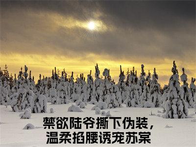 禁欲陆爷撕下伪装，温柔掐腰诱宠苏棠免费最新章节列表_禁欲陆爷撕下伪装，温柔掐腰诱宠苏棠免费全文免费阅读
